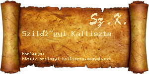 Szilágyi Kalliszta névjegykártya